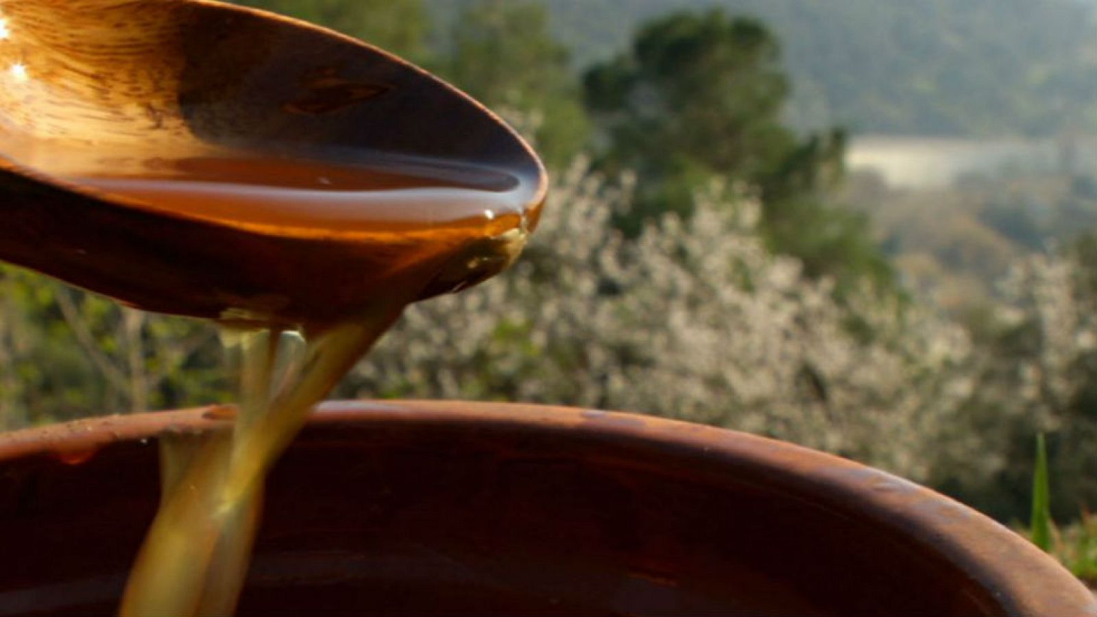 ¿Qué es la hidromiel?