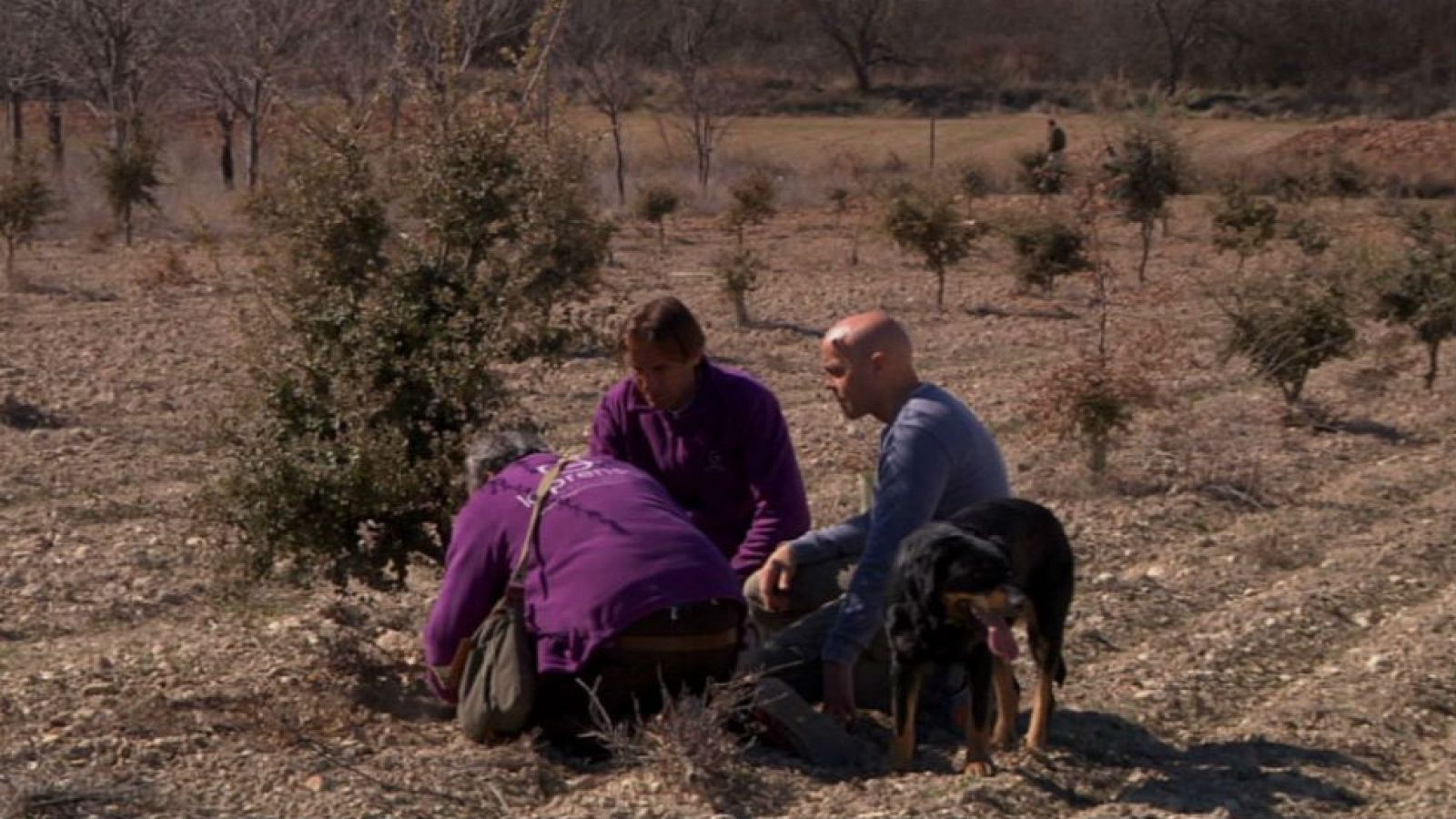 Soria, paraíso del trufero