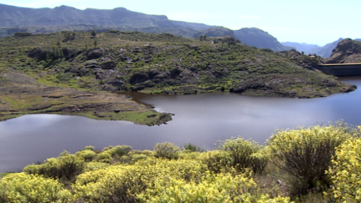 Telecanarias - Telecanarias 2 - 22/03/2017