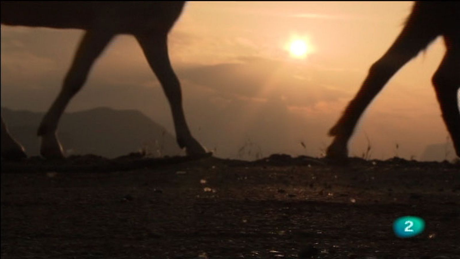 La Aventura del Saber. TVE. Serie 'El túnel del tiempo'. Versión completa de  la serie Memoria del Camino (Medelca)