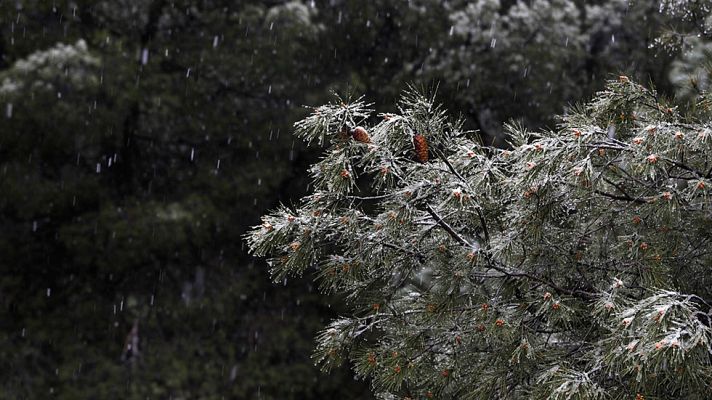 El tiempo - El frío, la lluvia y la nieve continuarán, con precipitación abundante en el Mediterráneo
