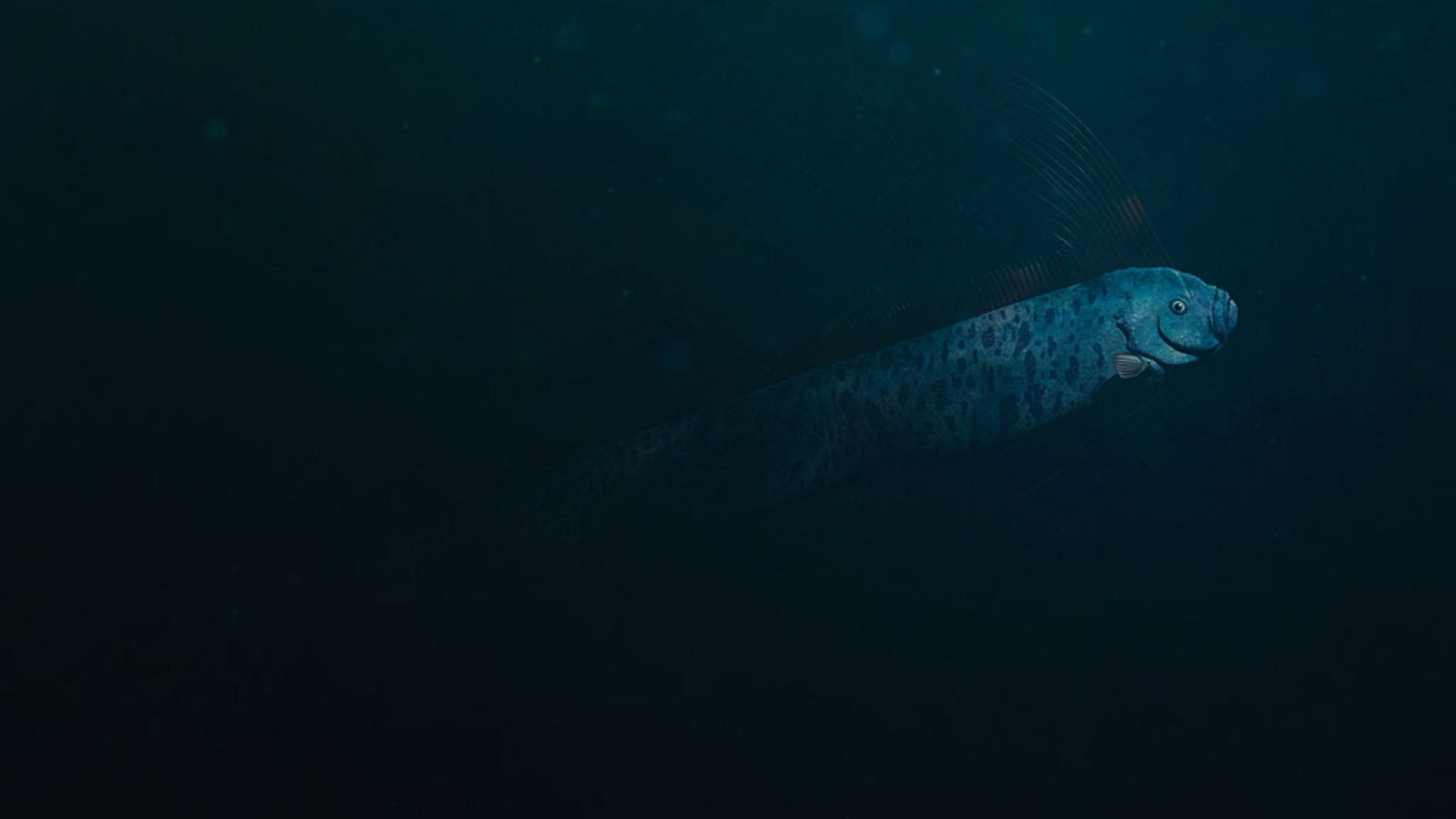 Grandes documentales - La gran serpiente marina. Encuentro con el mito - ver ahora