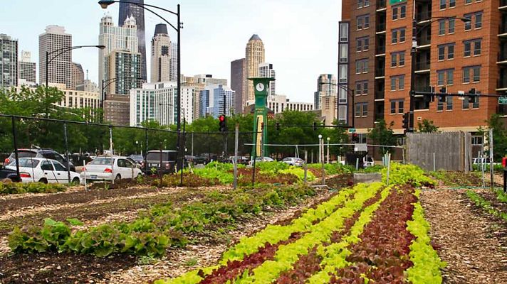 Documenta2 - Cultivando la ciudad