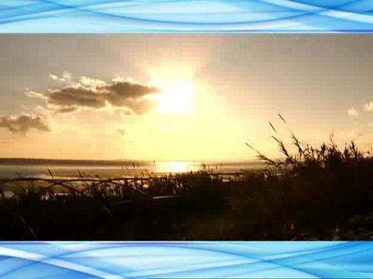 Actívate. El reto del bienestar - Actívate - El reto del bienestar - 30/01/09