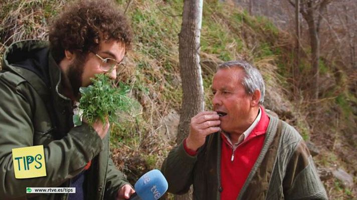 Tips - Ida y vuelta - Trevéle