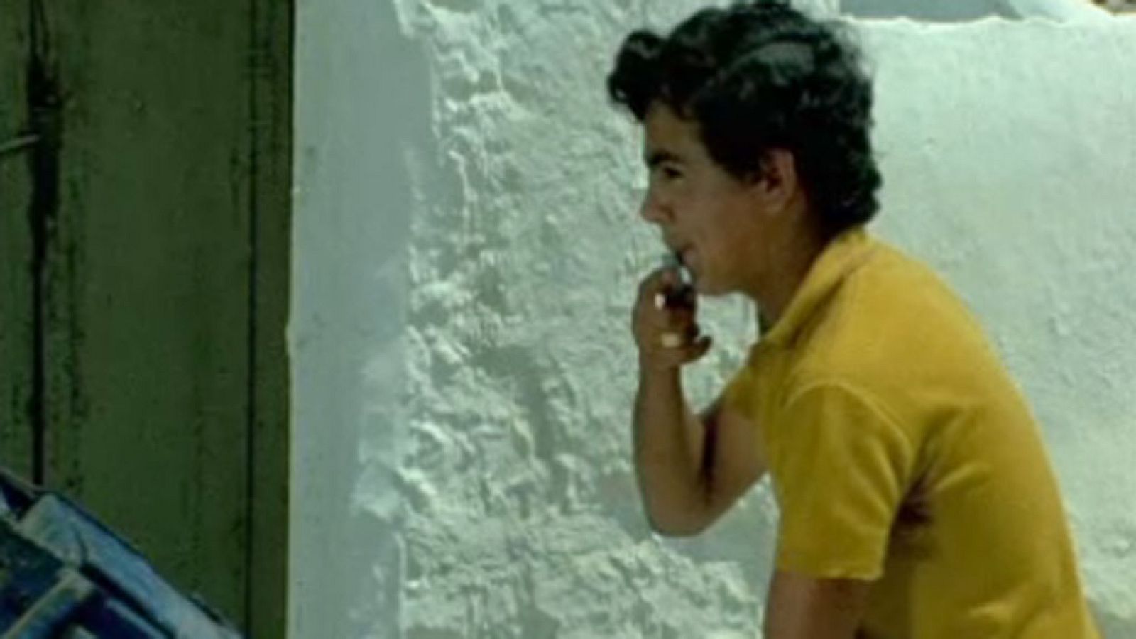 Raíces - El cante (II)