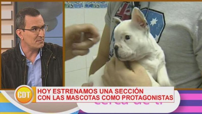 Cerca de ti - 24/03/2017