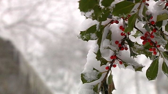 Telediario 1 - El frío y la nieve predominan en la península