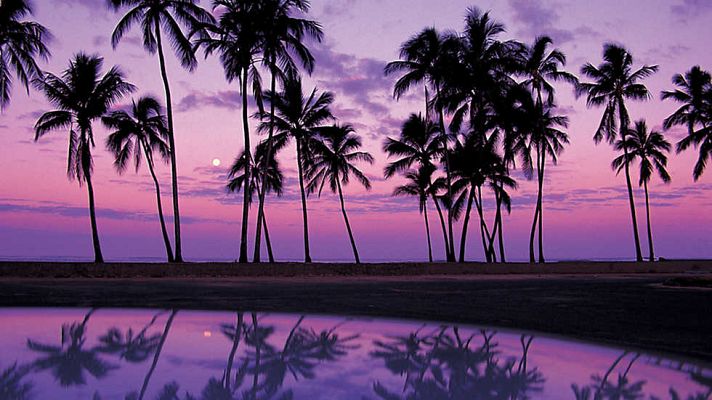 Grandes documentales - Sabores de Hawai: La magia del Pacífico