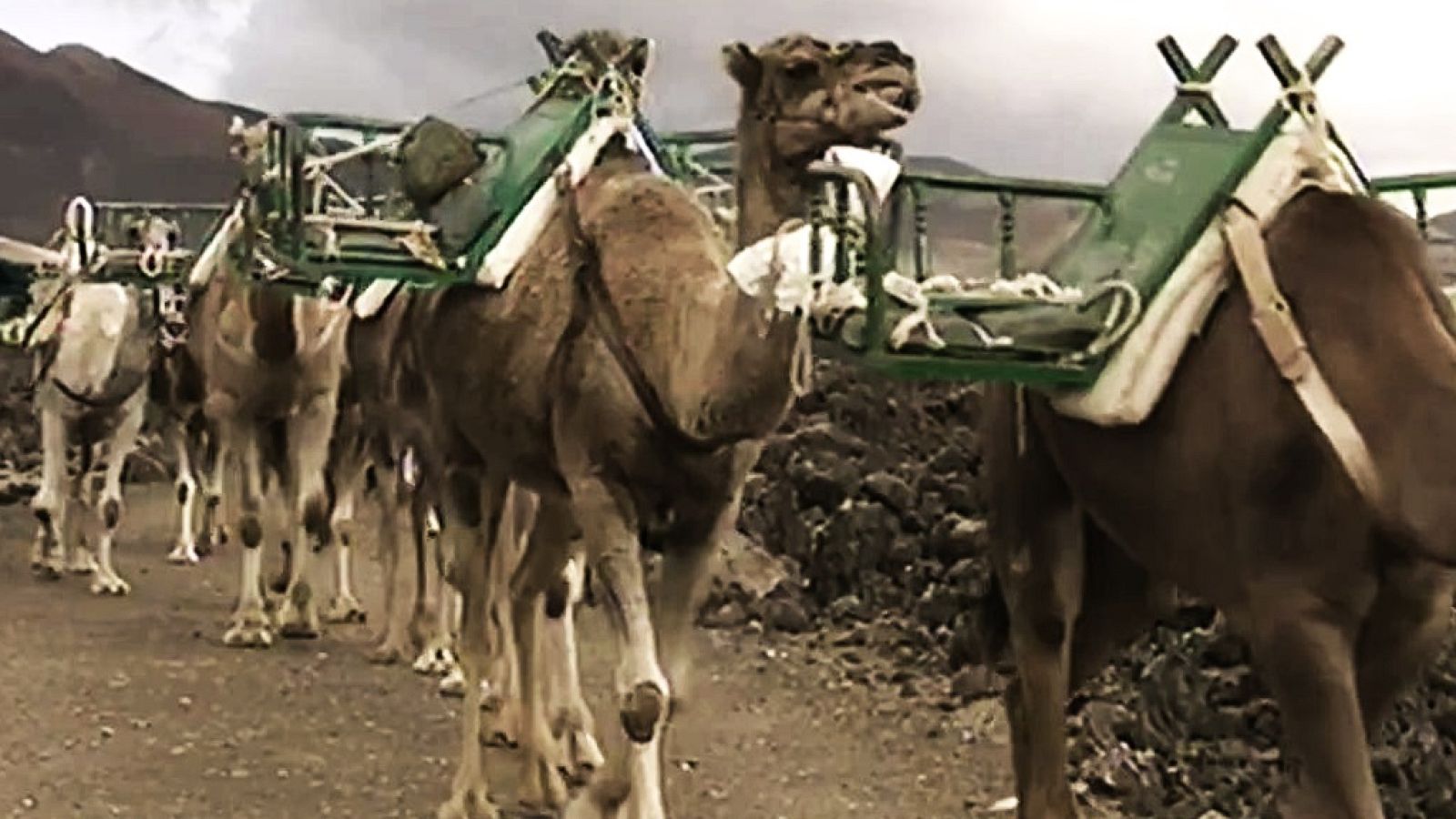 Cuadernos de paso - Cuadernos del fuego - ver ahora