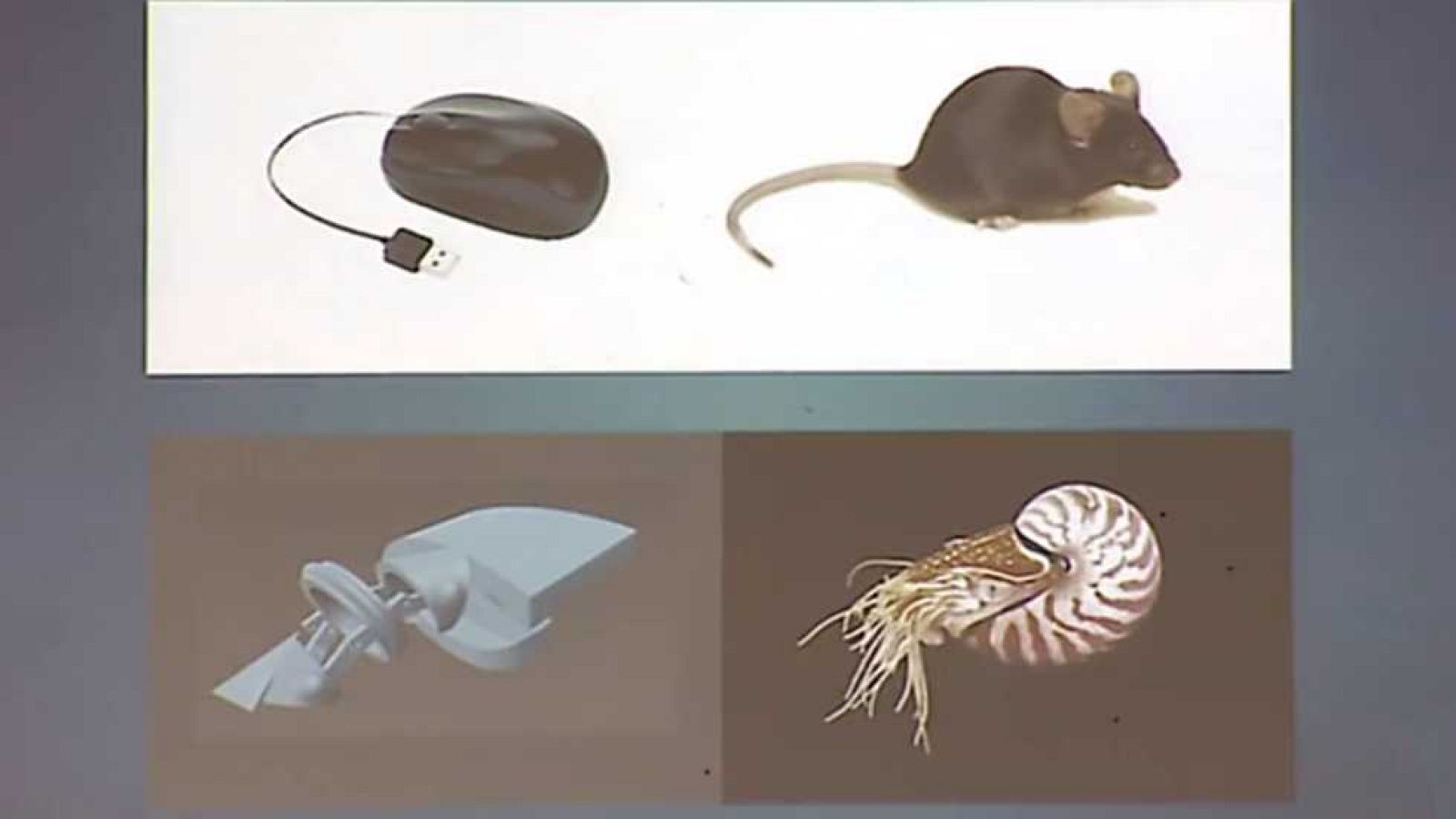 Emprende Digital - 26/03/17 - ver ahora