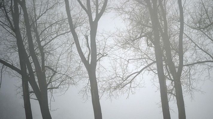 El tiempo - Lluvias localmente fuertes en Madrid, Extremadura y ambas Castillas