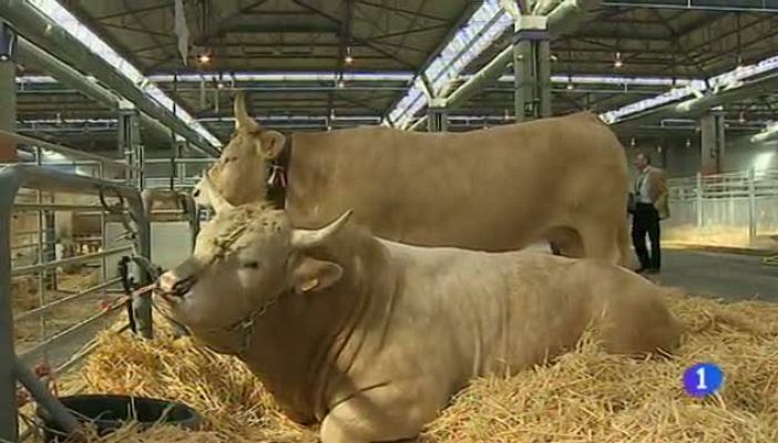 Noticias Aragón - Noticias Aragón - 28/03/2017