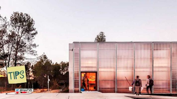 Tips - Tips - 28/03/17