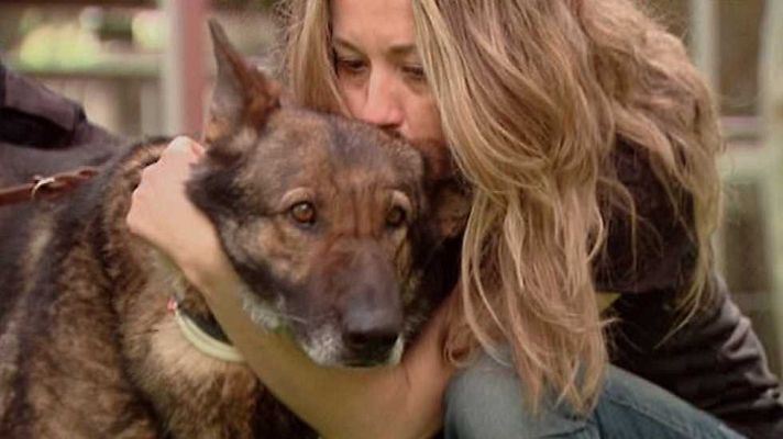 La aventura del Saber - La aventura del saber - 29/03/17