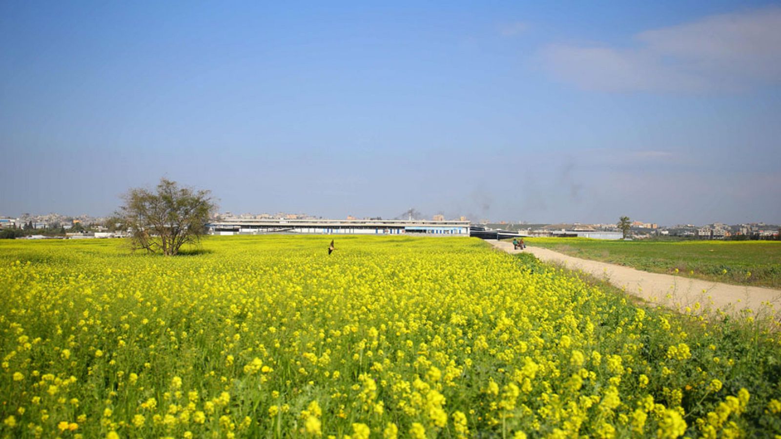 El Tiempo en la Comunidad de Madrid - 30/03/17