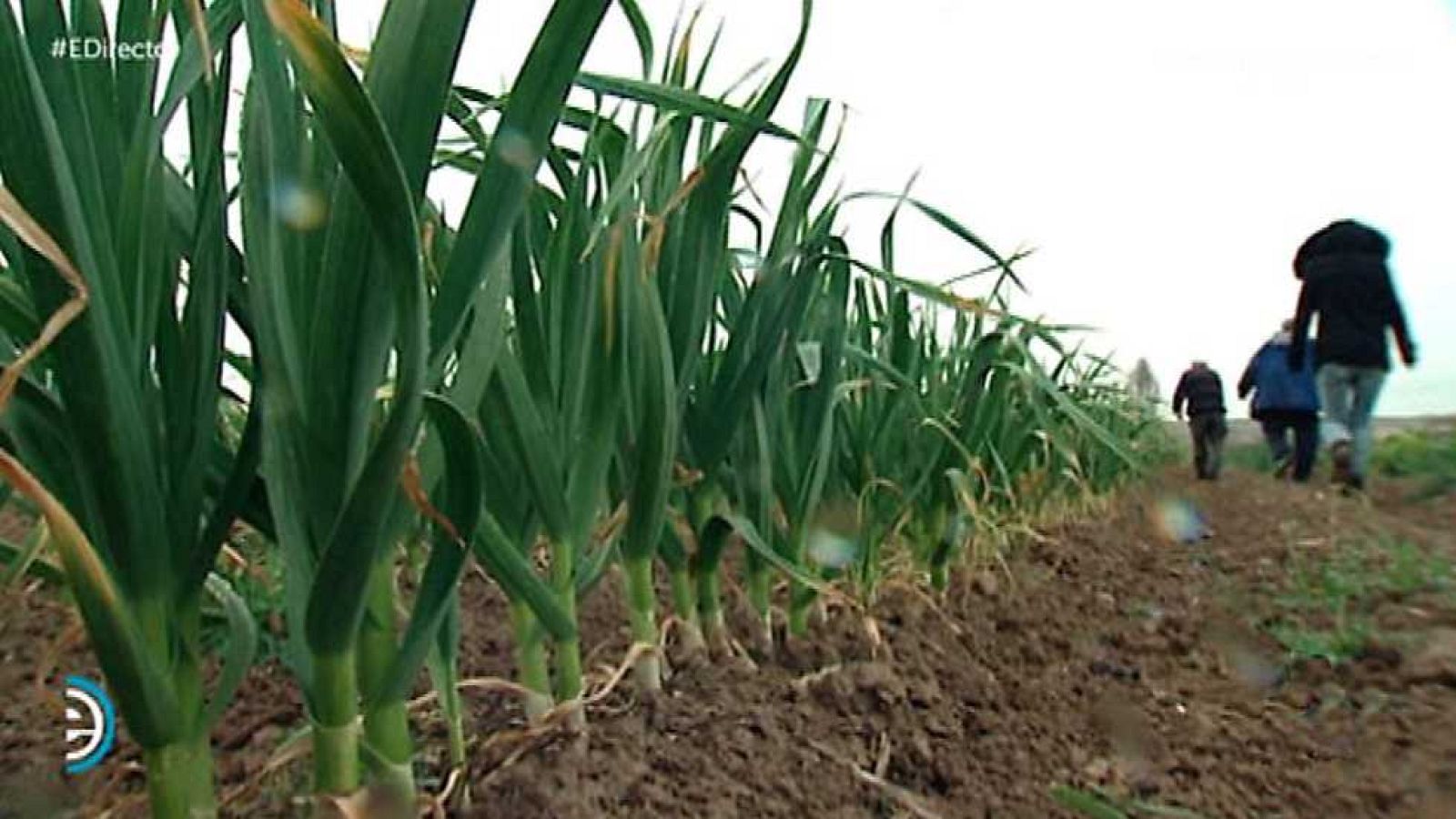 España Directo - 30/03/17 - ver ahora