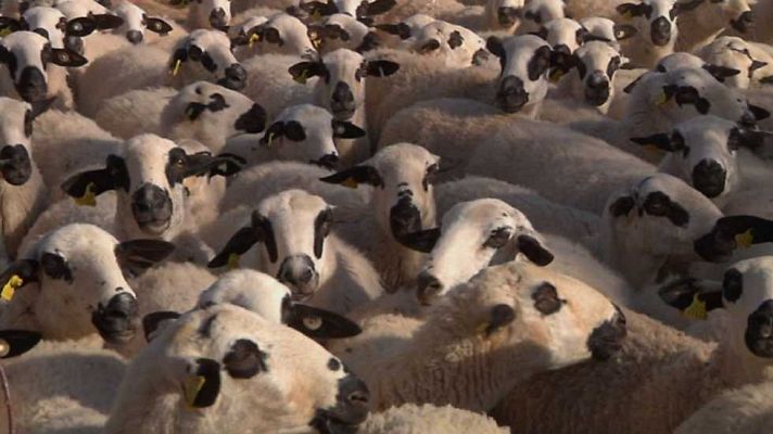 Aquí la Tierra - Aquí la Tierra - 30/03/17