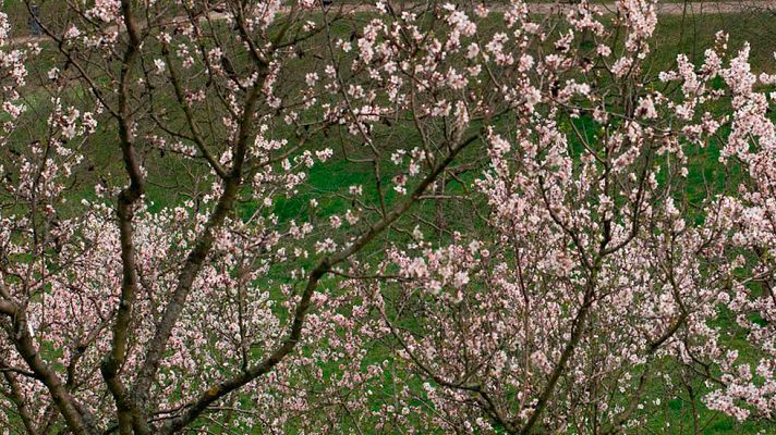 Informativo de Madrid - El Tiempo en la Comunidad de Madrid - 31/03/17
