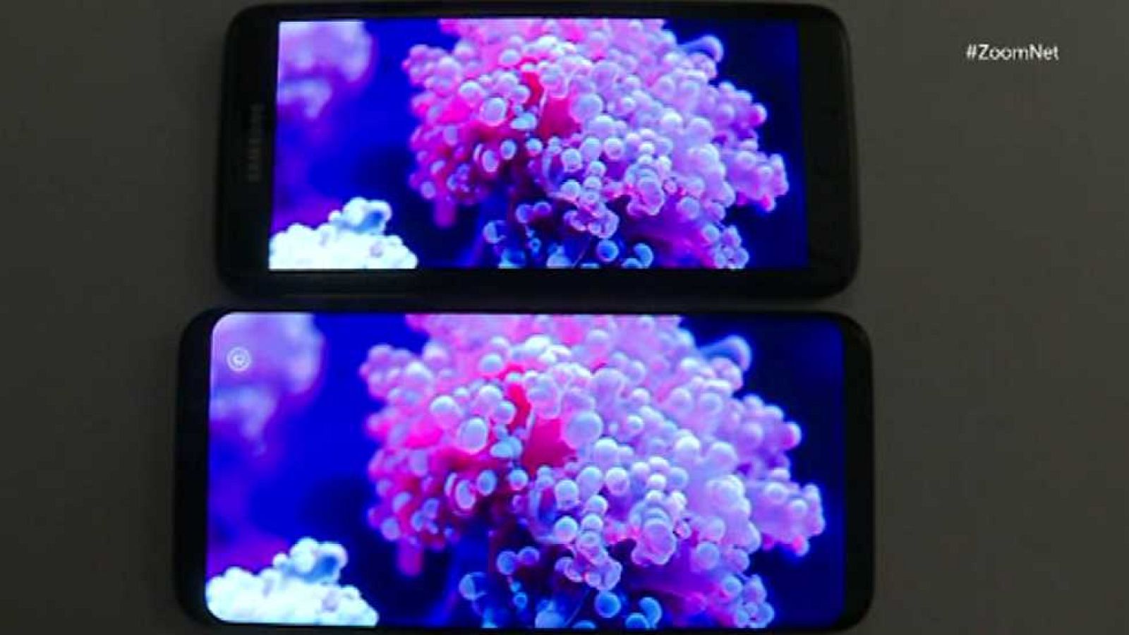 Zoom Net - Samsung Galaxy S8, Misántropo 360 y Mass Effect: Andrómeda - ver ahora