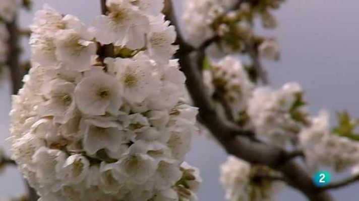 Cuadernos de paso - Cuaderno del Jerte