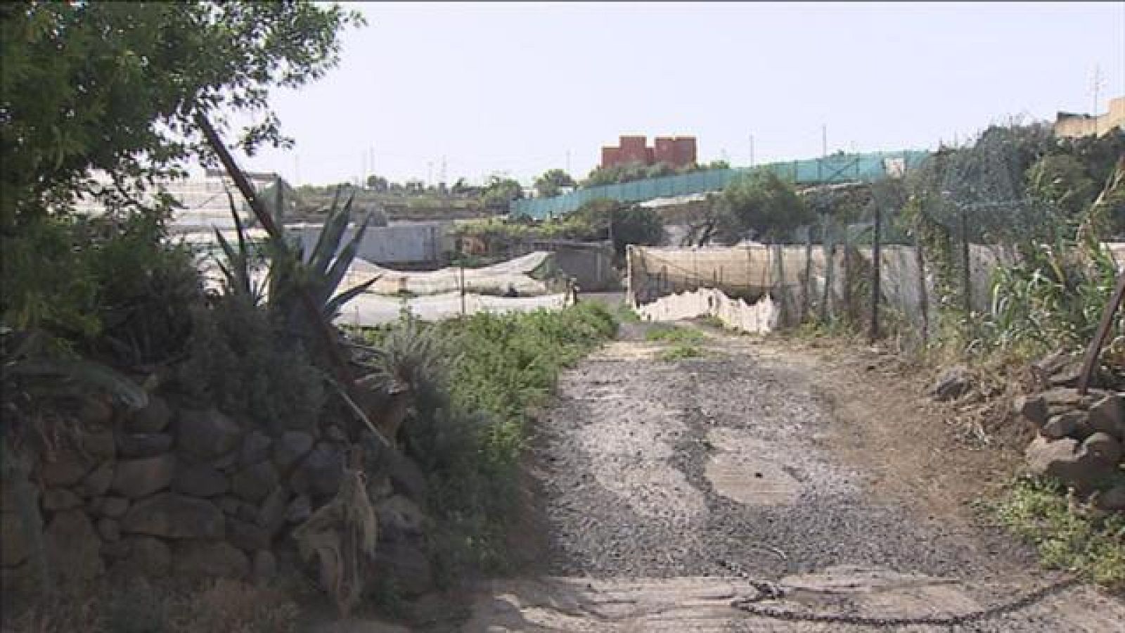 Canarias en 2' - 01/04/2017