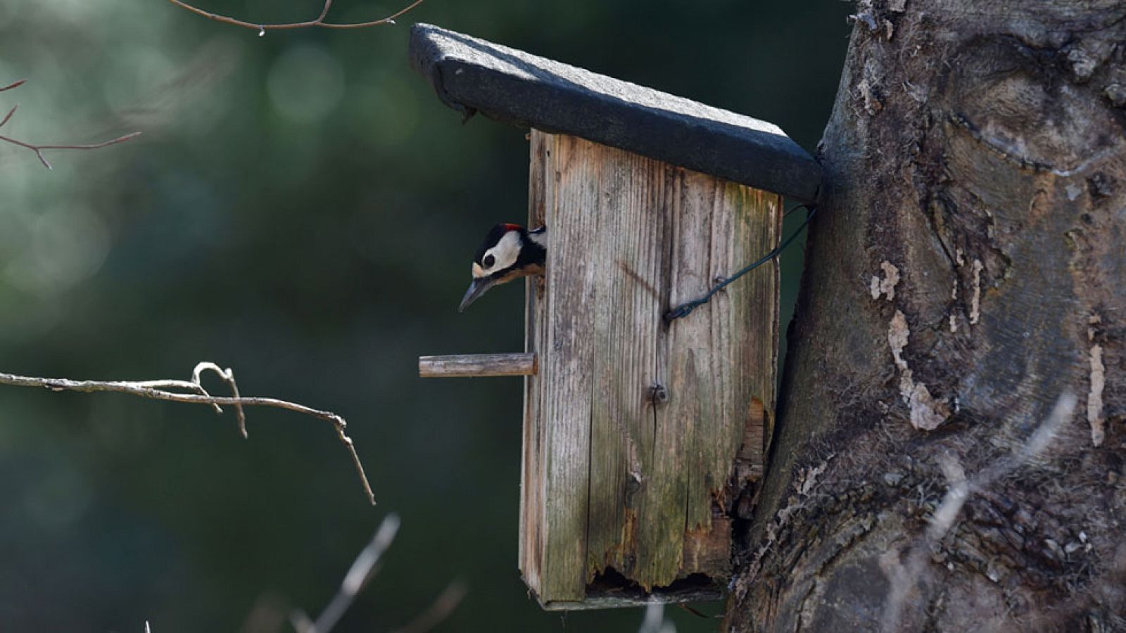 La estabilidad se impone en la mayor parte de España