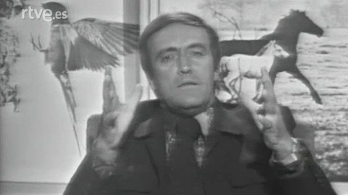 El planeta azul - La conquista de la maternidad