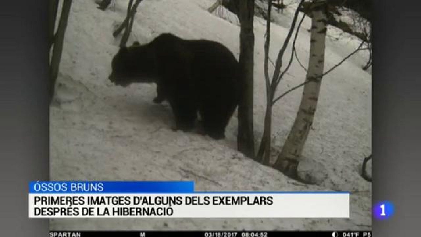 L'Informatiu - 03/04/17