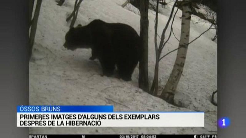 L'Informatiu - 03/04/17