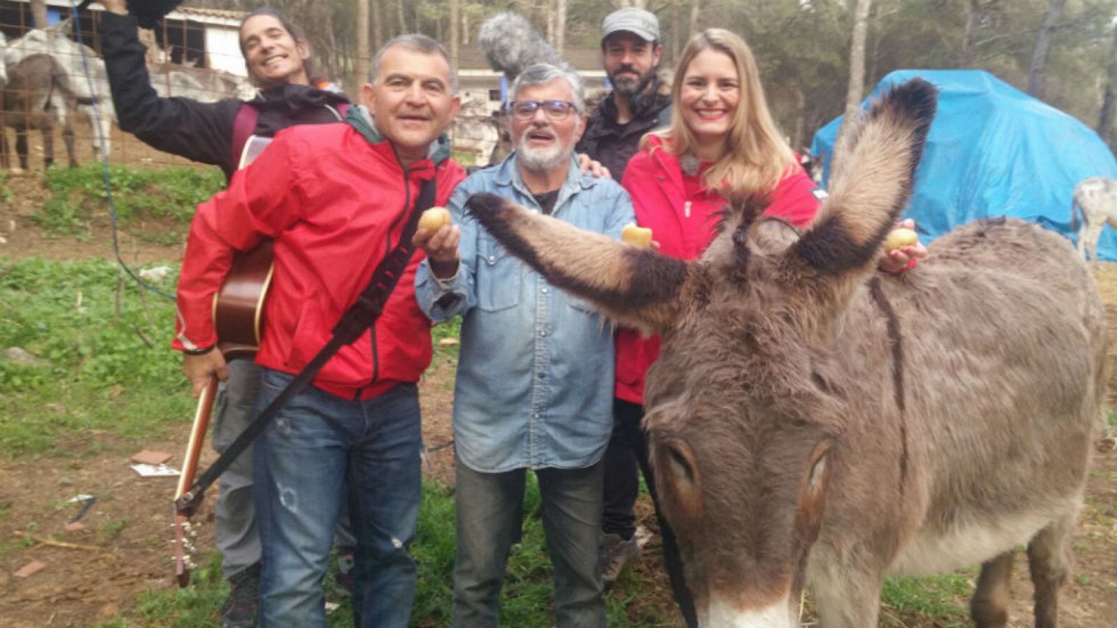 Admiración por los burros