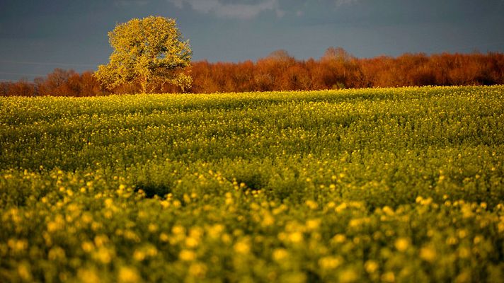 El tiempo - Tiempo primaveral con sol y temperaturas en torno a los 20 grados