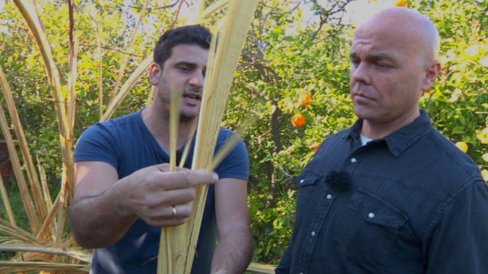 Trabajadores sin vértigo