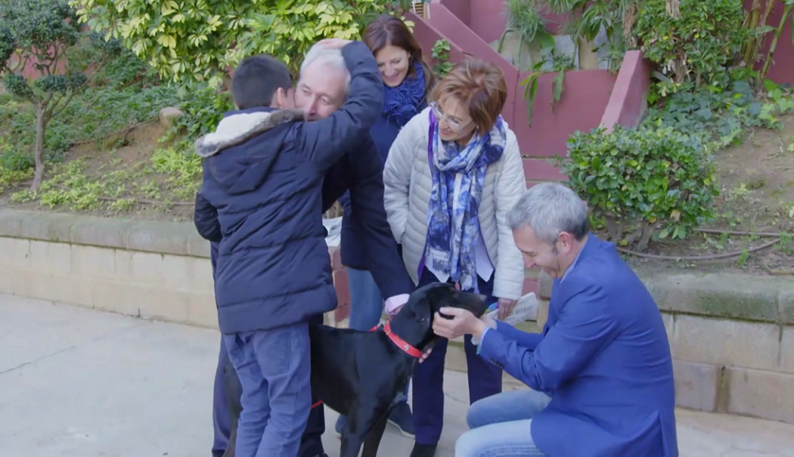 ¡Llega un nuevo miembro en la familia! - El árbol de los deseos | Ver