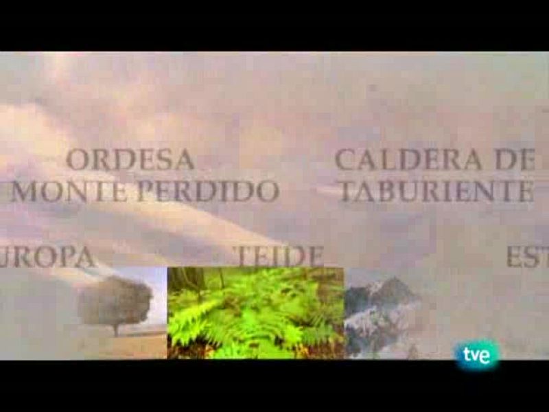 Espacios naturales - Nuestros parques nacionales - Doñana