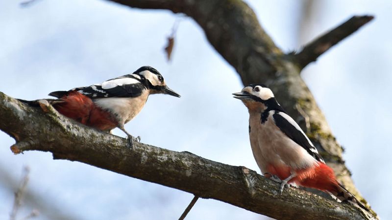 El Tiempo en la Comunidad de Madrid - 04/04/17