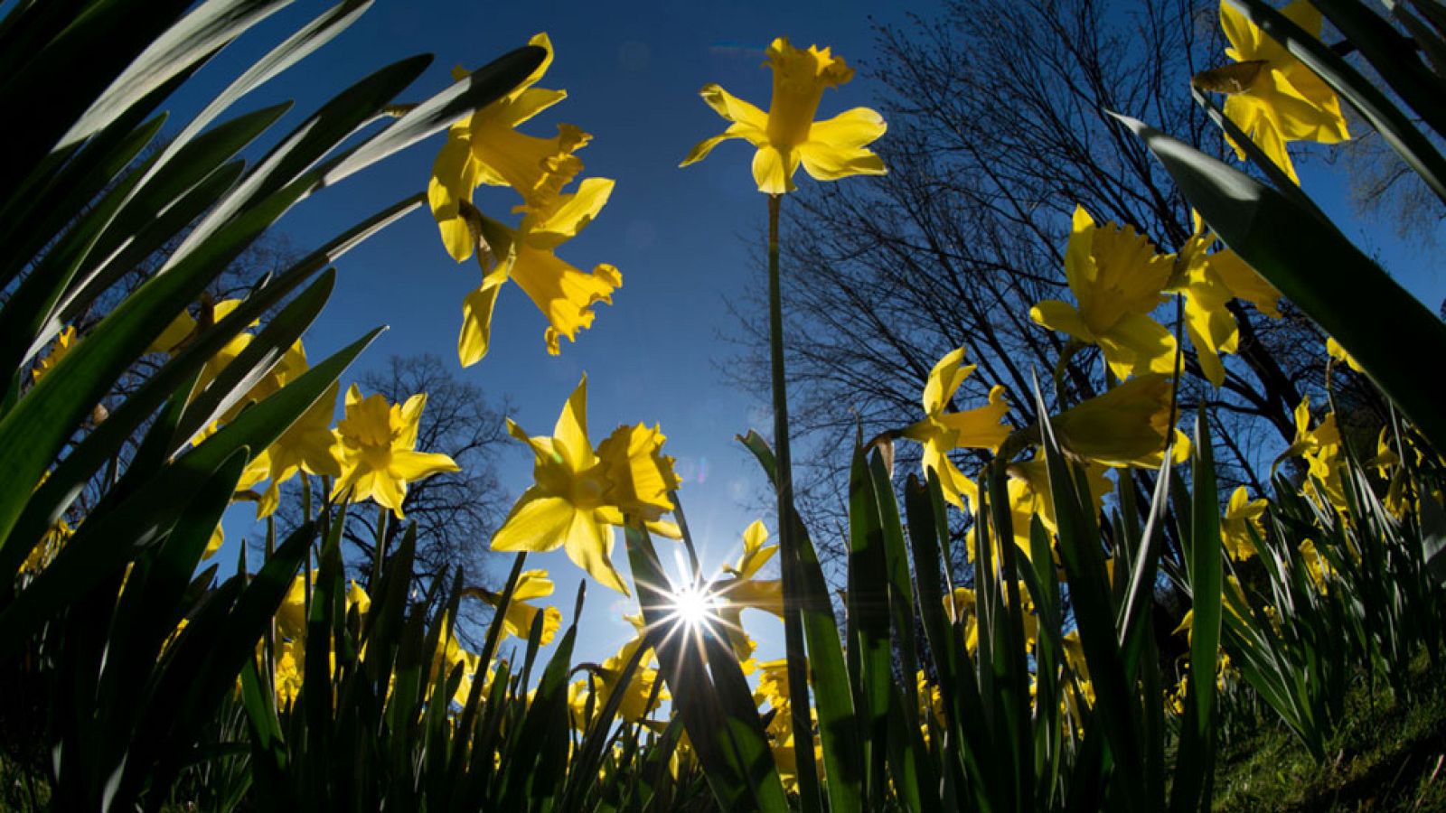 El Tiempo en la Comunidad de Madrid - 05/04/17