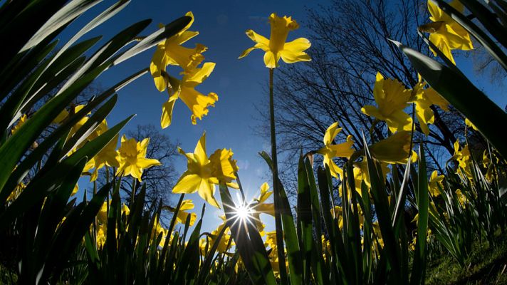 Informativo de Madrid - El Tiempo en la Comunidad de Madrid - 05/04/17