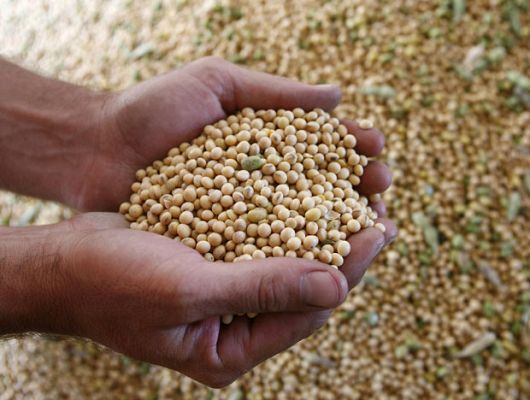 En portada - La guerra de la soja