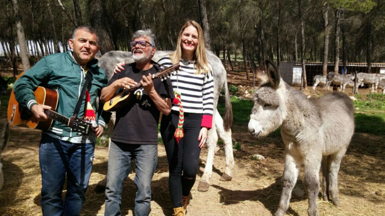 El burro Terrícola cumple un año