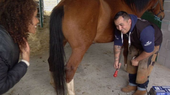 Aquí la Tierra - El herrero errante