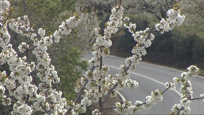  - PLENO  ECONOMIA  VERDE