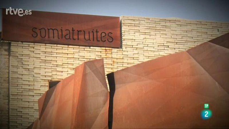 Punts de vista - 6/04/2017