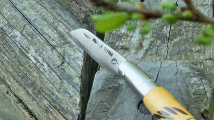 Aquí la Tierra - Unas navajas muy mimadas