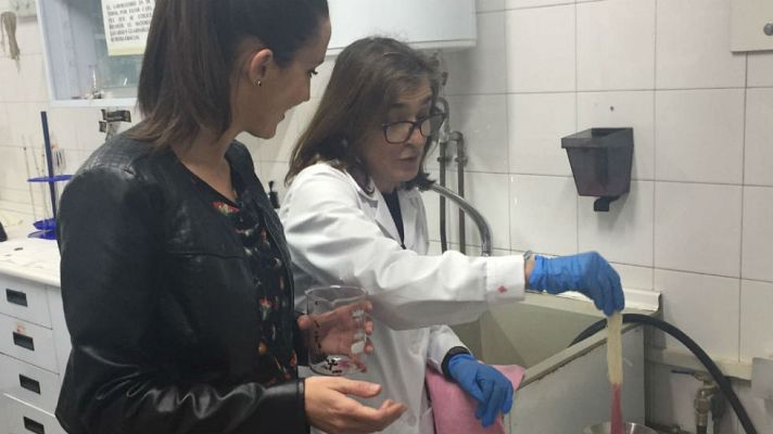 Aquí la Tierra - Tintes de la madre naturaleza