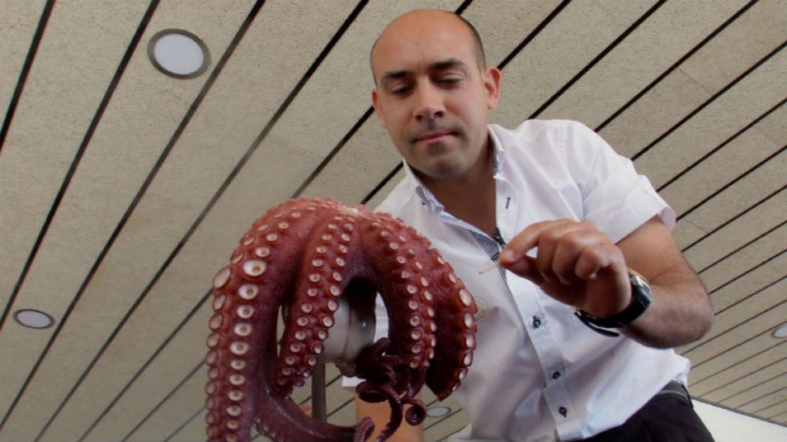 Los secretos del pulpo