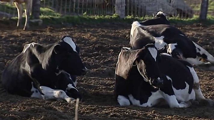 España en comunidad - España en comunidad - 08/04/17