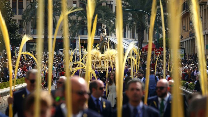 Telediario 1 - La Palma Blanca de Elche