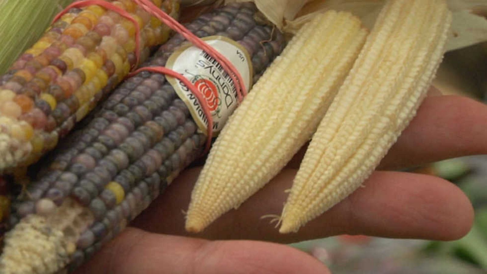 Aquí la Tierra - 09/04/17 - ver ahora