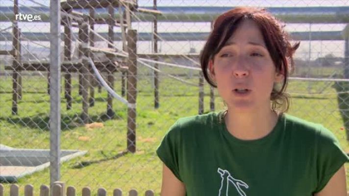  - Marta Bustelo, de Rainfer, nos habla sobre el negocio del tráfico ilegal de especies y la protección legal de estos animales